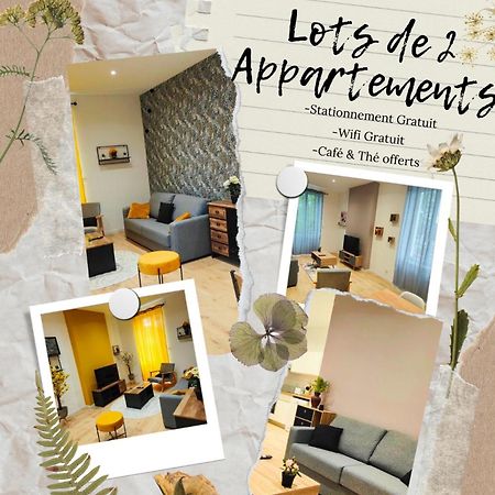 Appartements A Theme 克莱蒙费朗 外观 照片